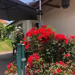 شقة L'exotique Au Calme, Terrasse & Jardin, Cusset