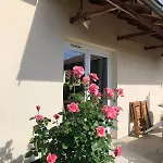 L'exotique Au Calme, Terrasse & Jardin, * Cusset