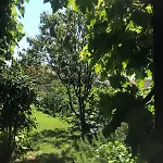 L'exotique Au Calme, Terrasse & Jardin, شقة *