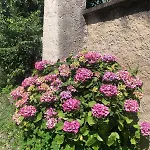 L'exotique Au Calme, Terrasse & Jardin,