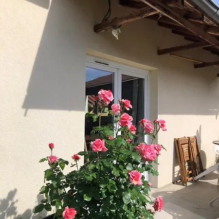L'exotique Au Calme, Terrasse & Jardin, * Cusset