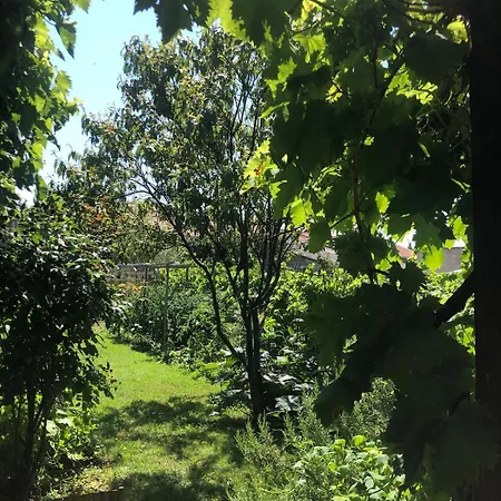 L'exotique Au Calme, Terrasse & Jardin, شقة *