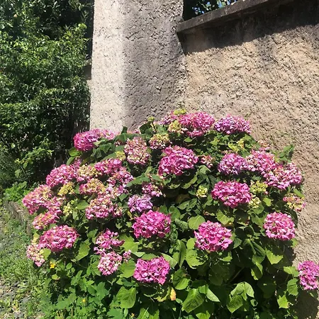 L'exotique Au Calme, Terrasse & Jardin,
